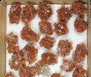 Lot: to Twinned Aragonite Clusters - Pieces #134141-2